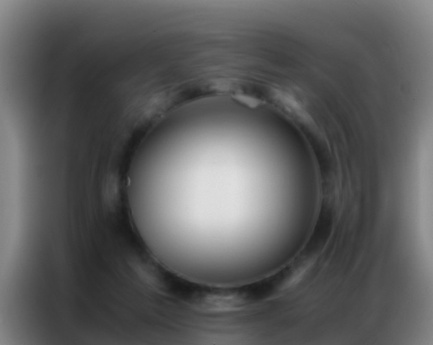 X0000086790213200704201850