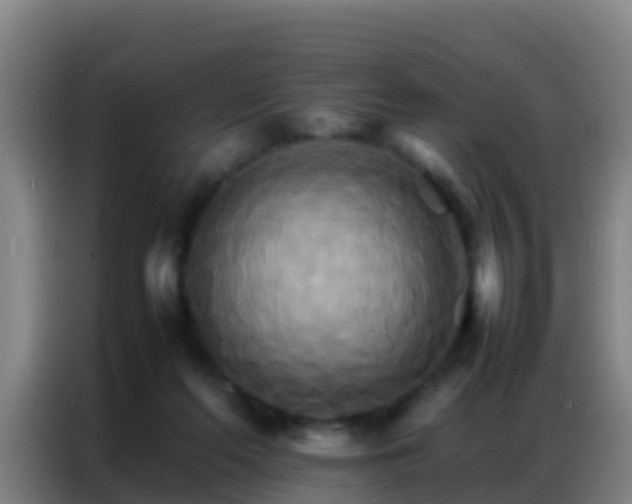 X0000086790214200704201850