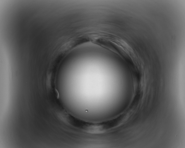 X0000086790217200704201850