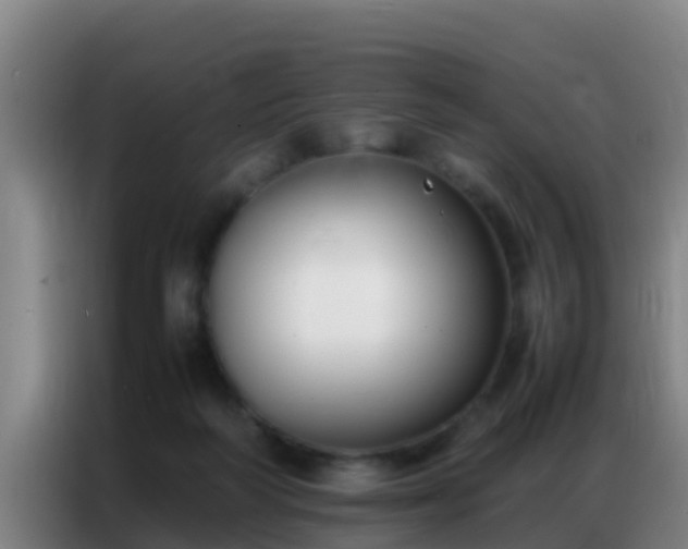 X0000086790218200704201850