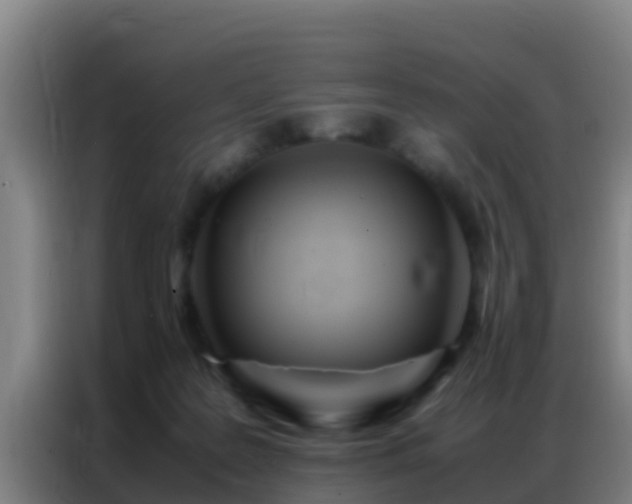 X0000086790219200704201850
