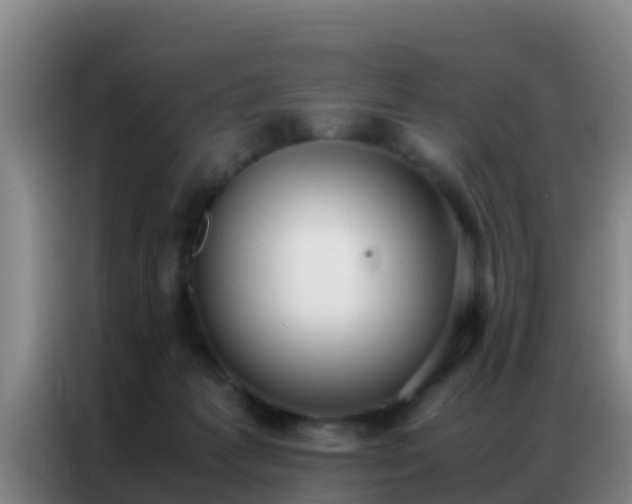 X0000086790221200704201850