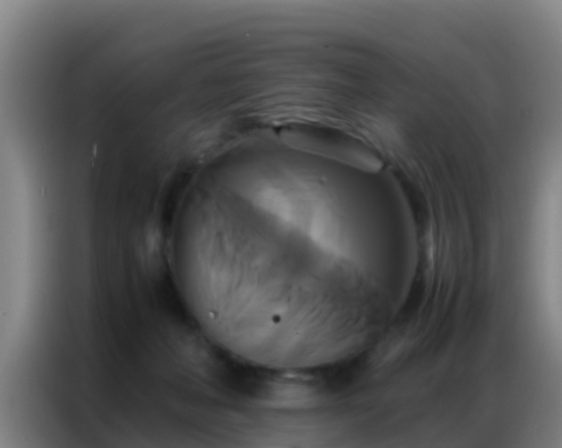 X0000086790222200704201850