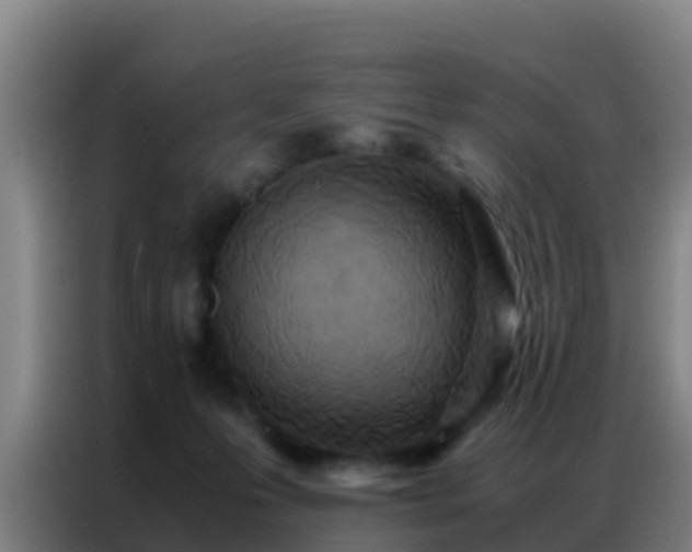 X0000086790223200704201850