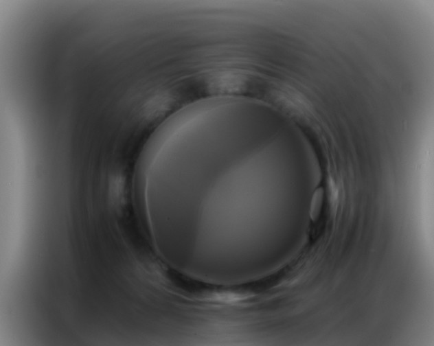 X0000086790224200704201850
