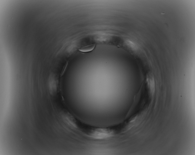 X0000086790227200704201850