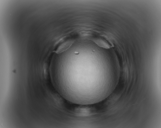 X0000086790228200704201850