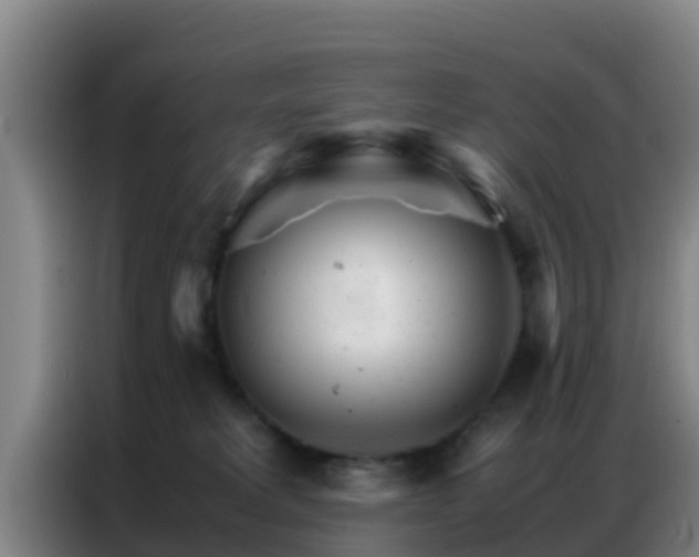 X0000086790229200704201850