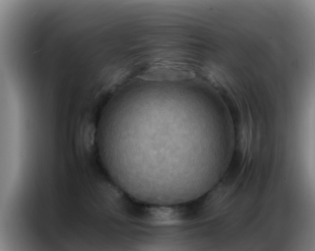 X0000086790230200704201850