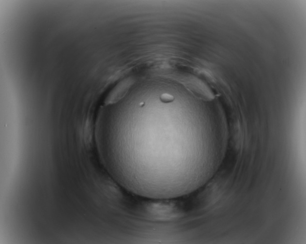 X0000086790232200704201850