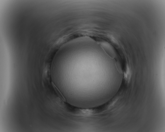 X0000086790233200704201850