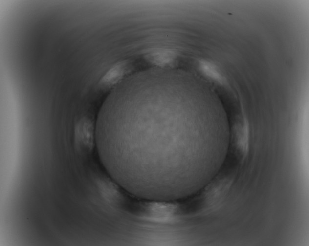 X0000086790234200704201850