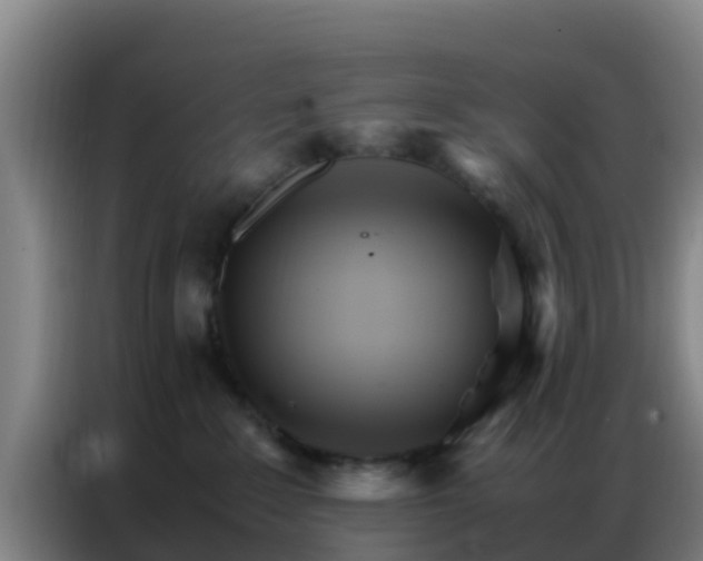 X0000086790235200704201850