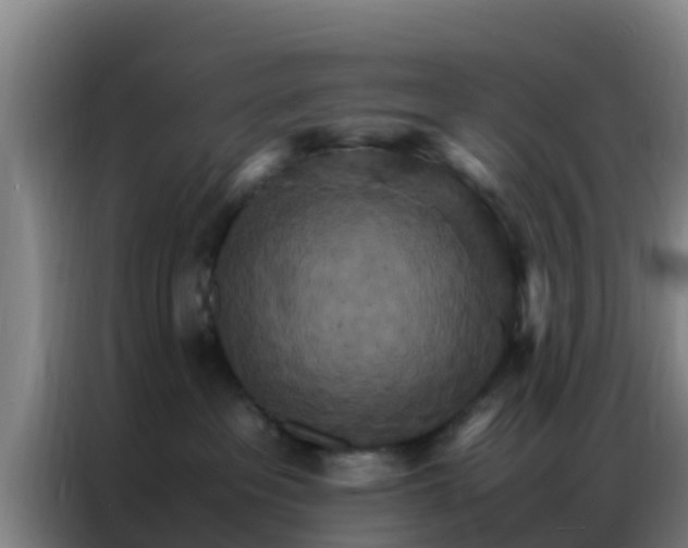 X0000086790237200704201850