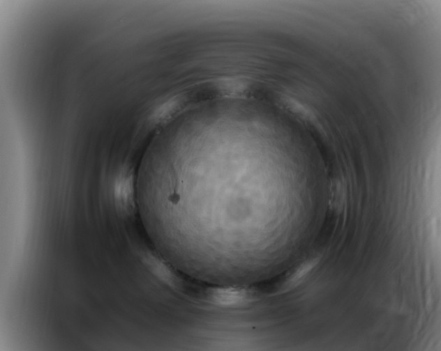 X0000086790238200704201850