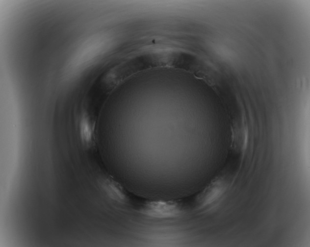 X0000086790239200704201850
