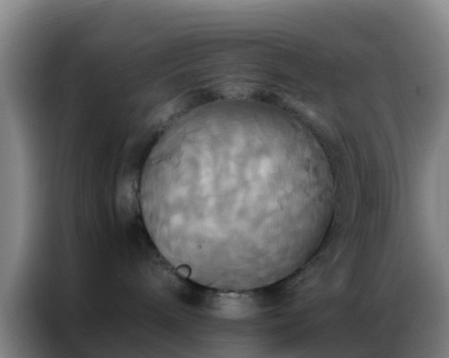 X0000086790240200704201850