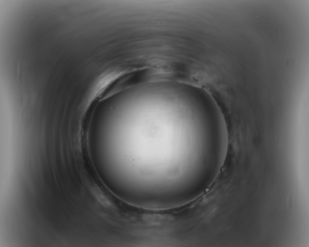 X0000086790242200704201849