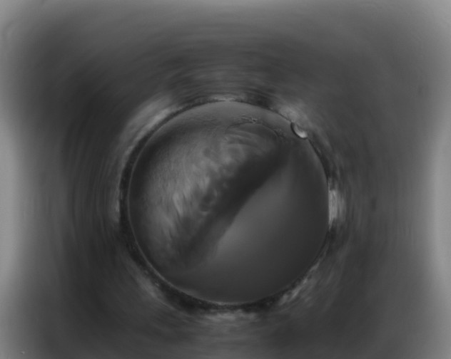 X0000086790243200704201849