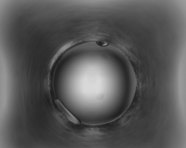 X0000086790244200704201849