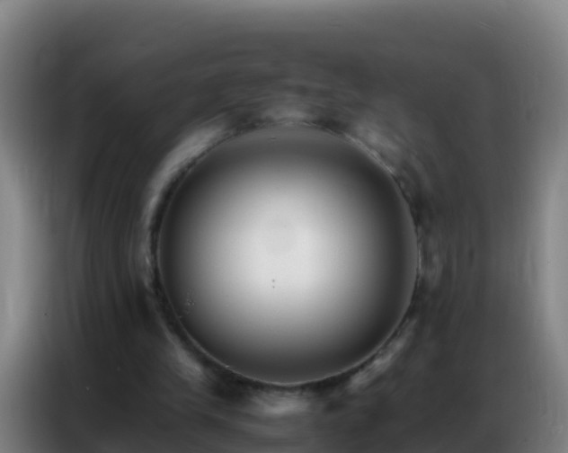 X0000086790245200704201849