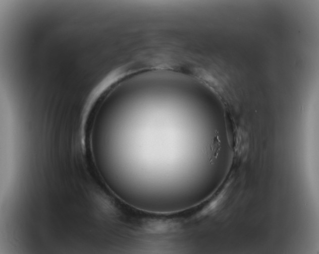 X0000086790246200704201849
