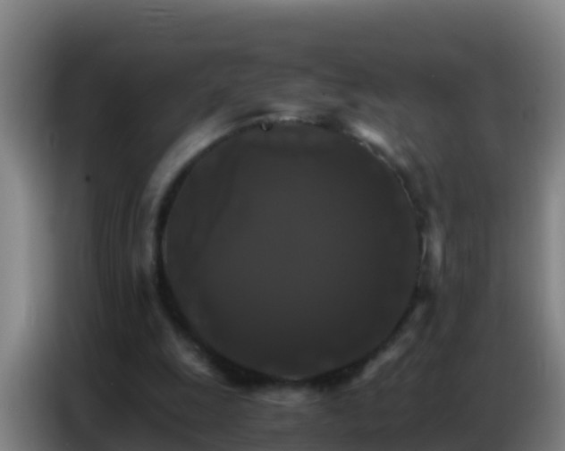 X0000086790247200704201849