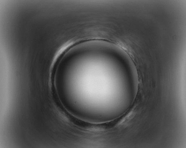 X0000086790248200704201849