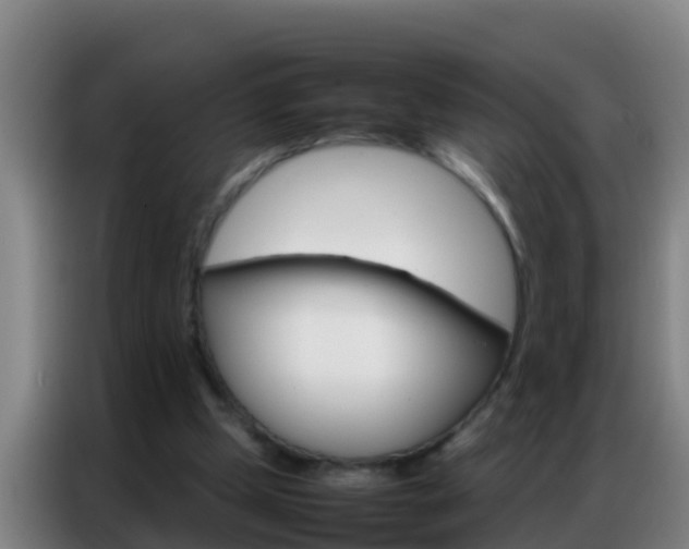 X0000086790249200704201849
