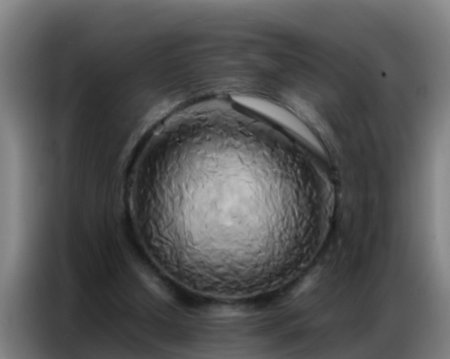 X0000086790250200704201849