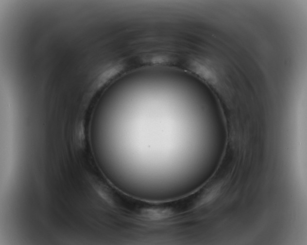 X0000086790251200704201849