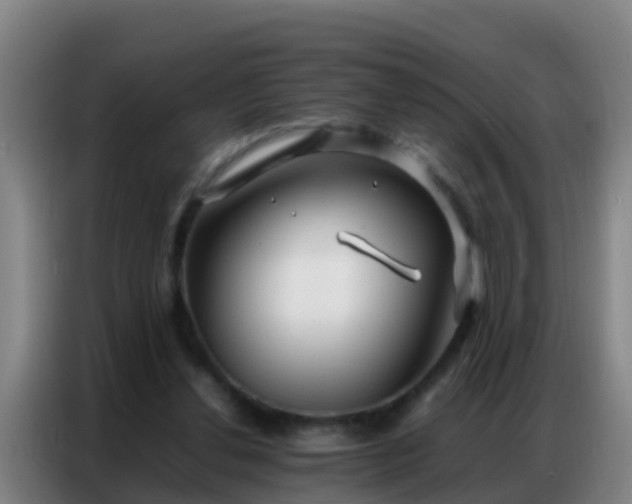 X0000086790252200704201849