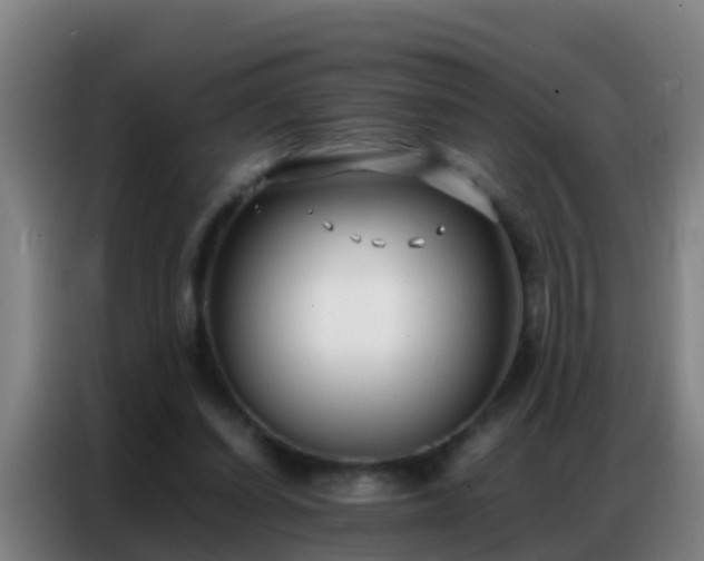 X0000086790254200704201849