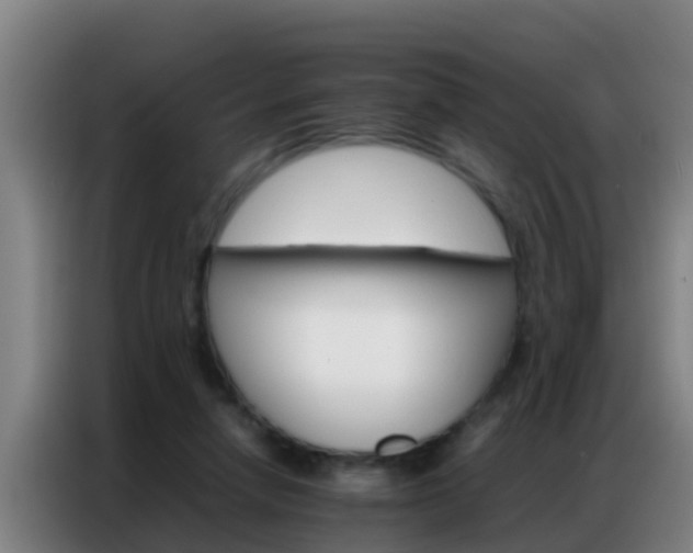 X0000086790258200704201849
