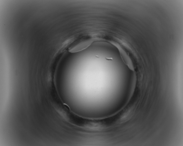 X0000086790260200704201849