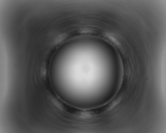 X0000086790261200704201849