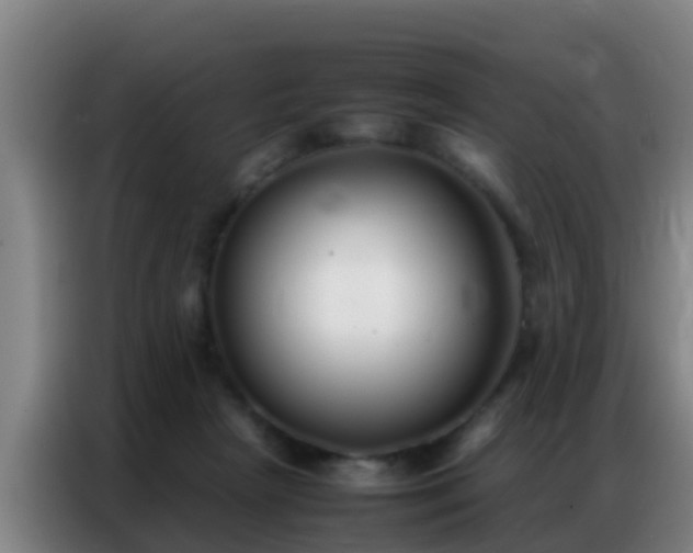 X0000086790265200704201849