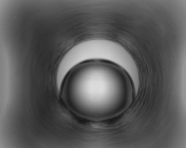 X0000086790268200704201849