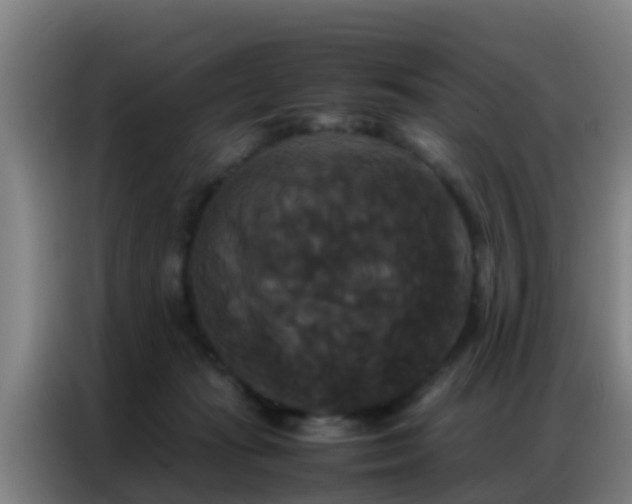 X0000086790269200704201849