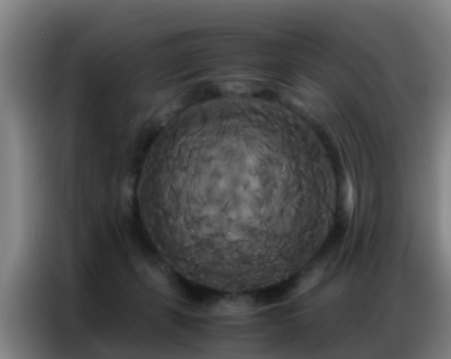 X0000086790271200704201849
