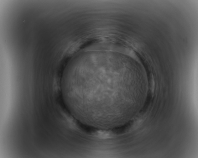 X0000086790272200704201849