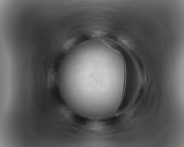 X0000086790276200704201849