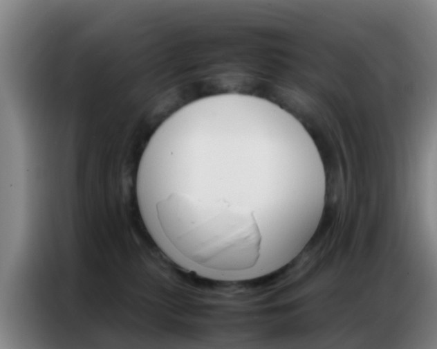X0000086790279200704201850