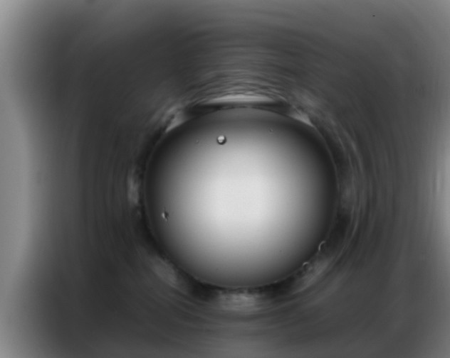 X0000086790282200704201850