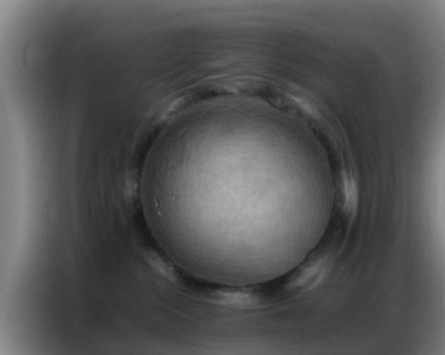 X0000086790284200704201850