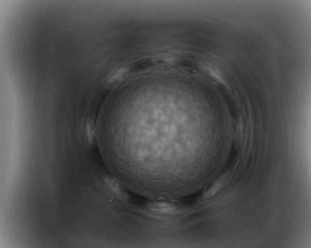X0000086790285200704201850