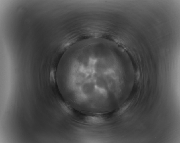 X0000086790286200704201850