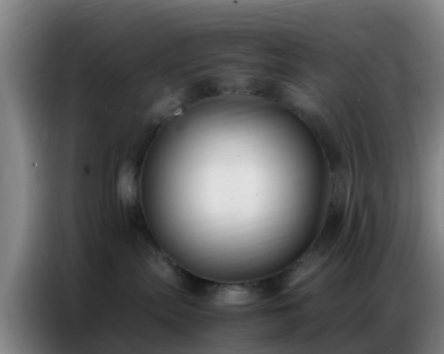 X0000086790287200704201850