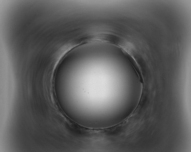 X0000086790289200704201849