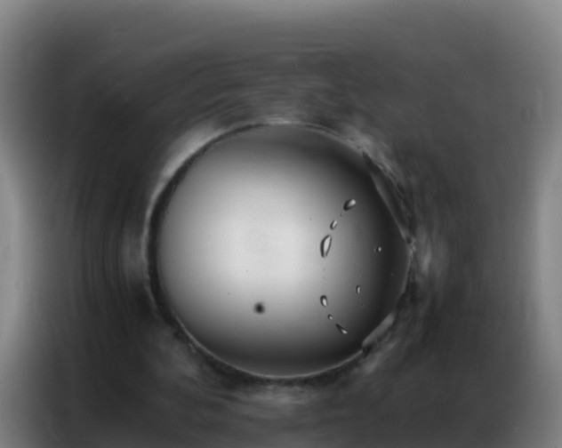 X0000086790292200704201849